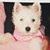Dana Sharoff James's profile image