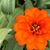 Karen Walcott's profile image