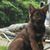 Deb Kuhn's profile image