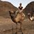 Amber Marie's profile image