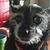 John McCurdy's profile image