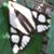 Coni Snyder's profile image