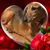 Noelle Lenser's profile image