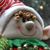 Sharon Nee Goodman's profile image