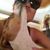Beth Metzger's profile image