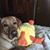 Corky Breeden's profile image
