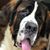 Lisa Kay Andrew's profile image