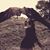 Letisha Lerma's profile image