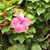 Terri Boam's profile image