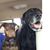 Lori Robin Marrero's profile image