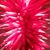 Linda Ryan's profile image