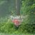 Robin Anderson's profile image