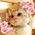 Audra McGough Hedger's profile image