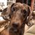 Kim Gustafson Greene's profile image