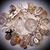 Jean M. Bushey's profile image