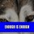 Karen Seaborn Hall's profile image