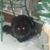 Linda Adams Franey's profile image