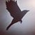 Alexander Cuevas's profile image