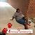Deedee Looklikmonei Hannah Dancer's profile image