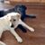 Maureen Laird Curran's profile image