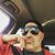 Paul Pimentel's profile image