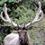 Carla Campbell Berrey's profile image