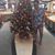 Tracey Regina Leonard's profile image