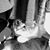 Gwynne Witte's profile image