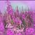 Christine Slagle's profile image