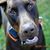 Lori Tom Burkholder's profile image