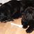 Debbie Boldt Jordan's profile image