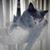 Denise Farris's profile image