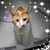 Catherine Doane's profile image