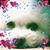 Theresa Dymicki's profile image