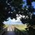 Marie Thierry Rice's profile image