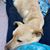 Cynthia Amber Lowman's profile image