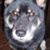 Lucy Wu's profile image