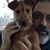 Rich Weichsler's profile image