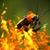 David Norris's profile image