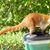 Jessie Durkin's profile image