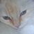 Patricia D. Criss's profile image