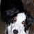 Corrine Yergenson's profile image