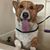 Town and Country Kennels's profile image