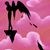 Tiffany M Hart's profile image