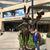 Donna Brannock Buzard's profile image