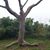 Richard Lee Guinan Garcia's profile image