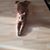 Pam Niles's profile image