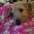 Melissa Dawson Lilley's profile image