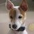 Suzanne Emmons Cumbie's profile image