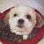 Chewie Ridinger's profile image